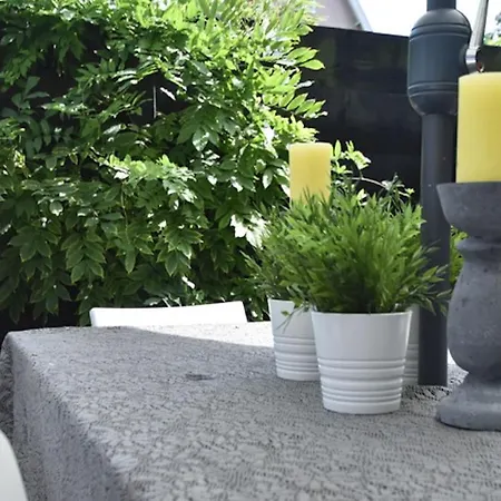 Ferienhaus Mary's Zomerhuis Bergen